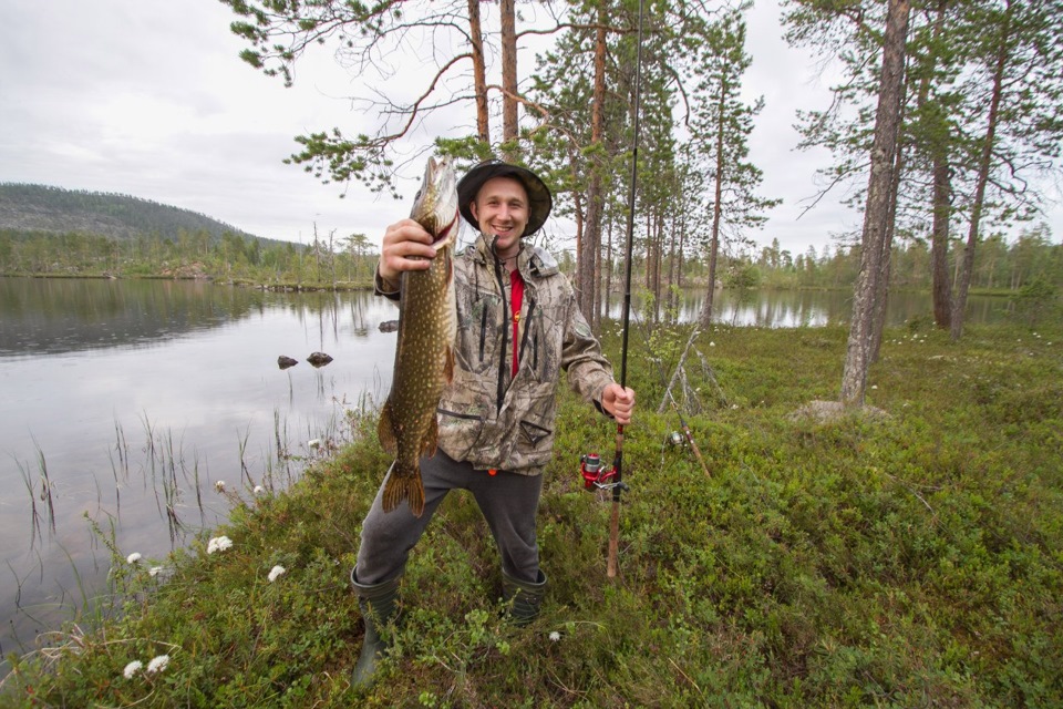 Рыбалка в лесу. Рыбалка в Сыктывкаре. Рыбалка в лесу Ульяновск. По рыбачить Сыктывкар.