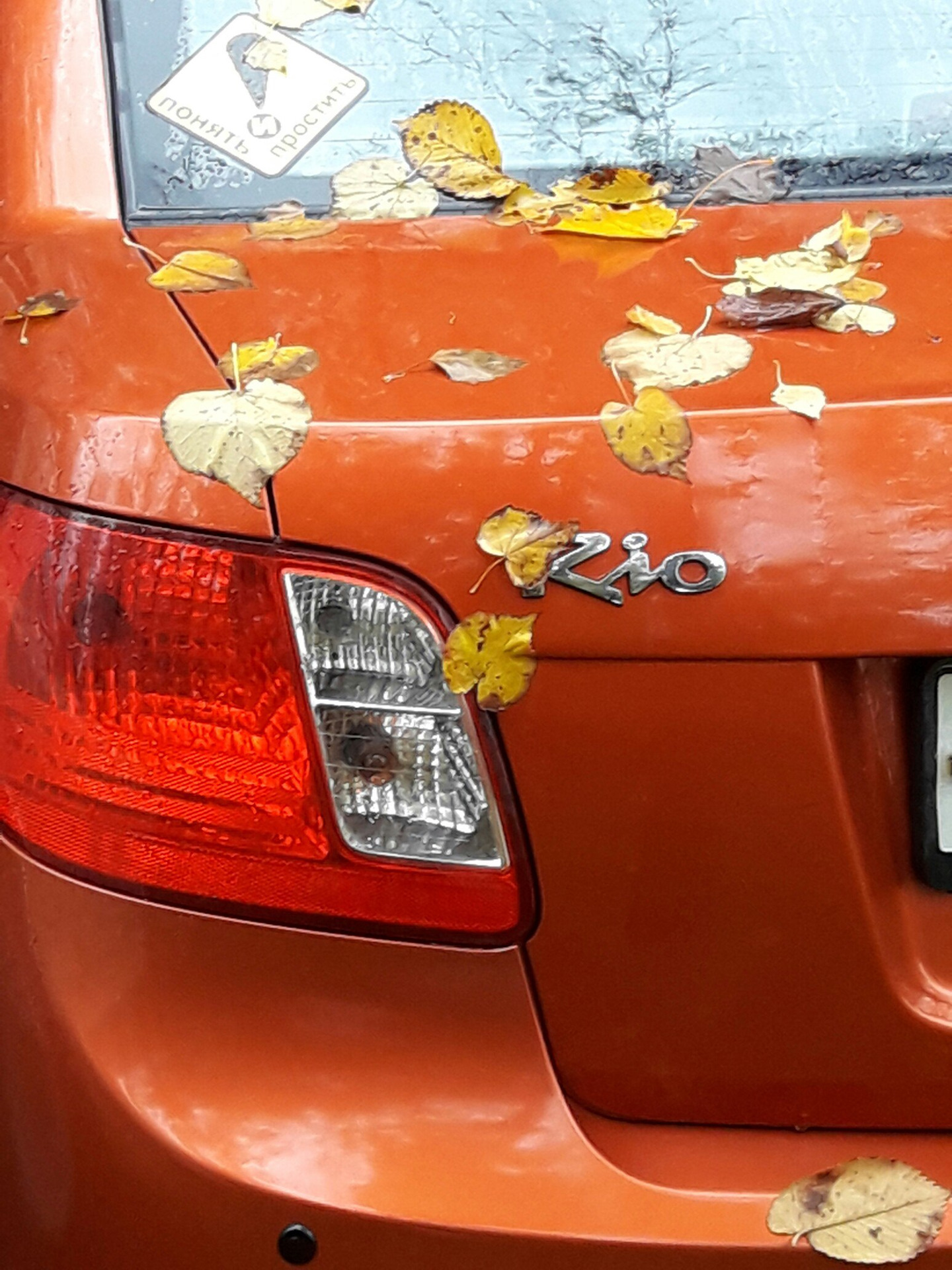 Осень… и мы попали под влияние))) — DRIVE2