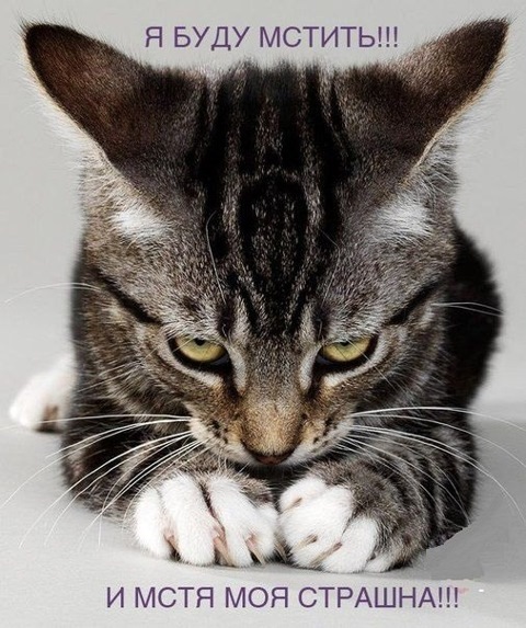 Картинки по запросу печальбеда