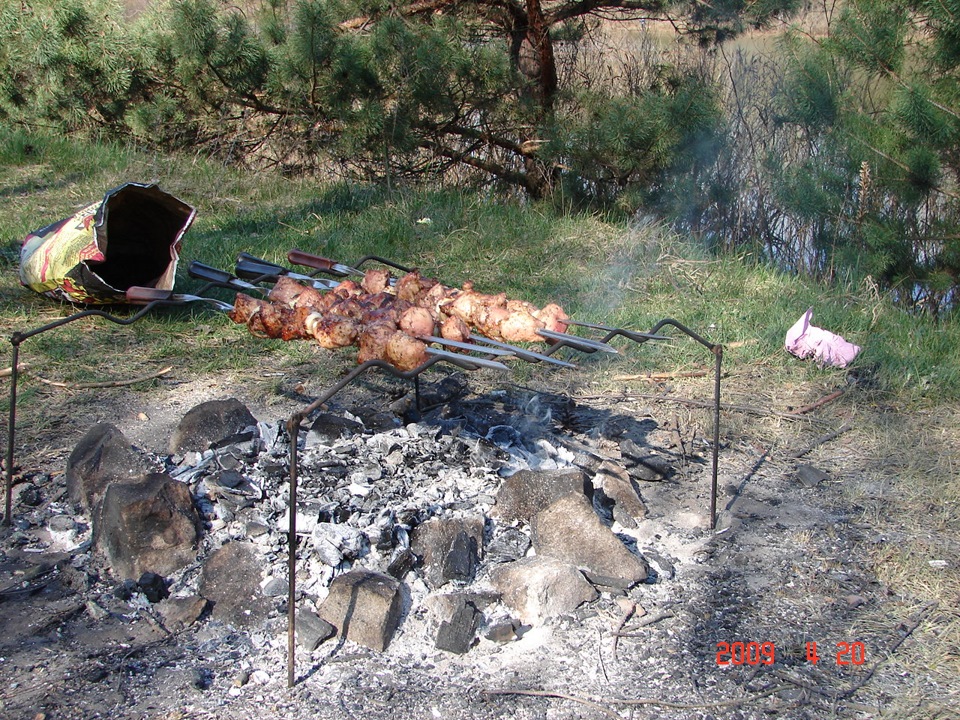 Лес шашлыки фото