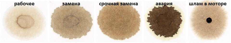 Фото в бортжурнале Volkswagen Polo Sedan
