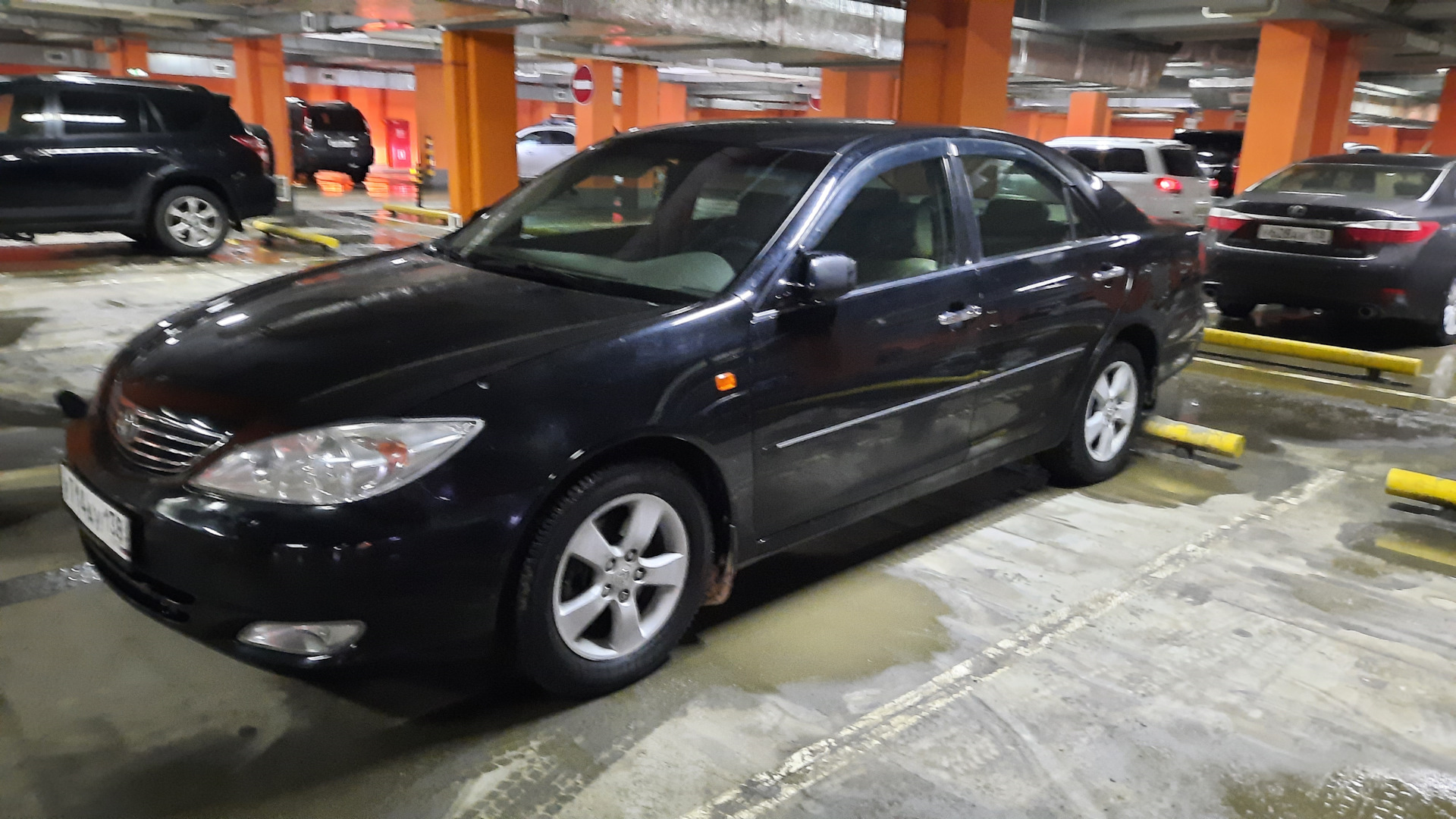 Тонировка 70% в круг — Toyota Camry (XV30), 3 л, 2003 года | стайлинг |  DRIVE2