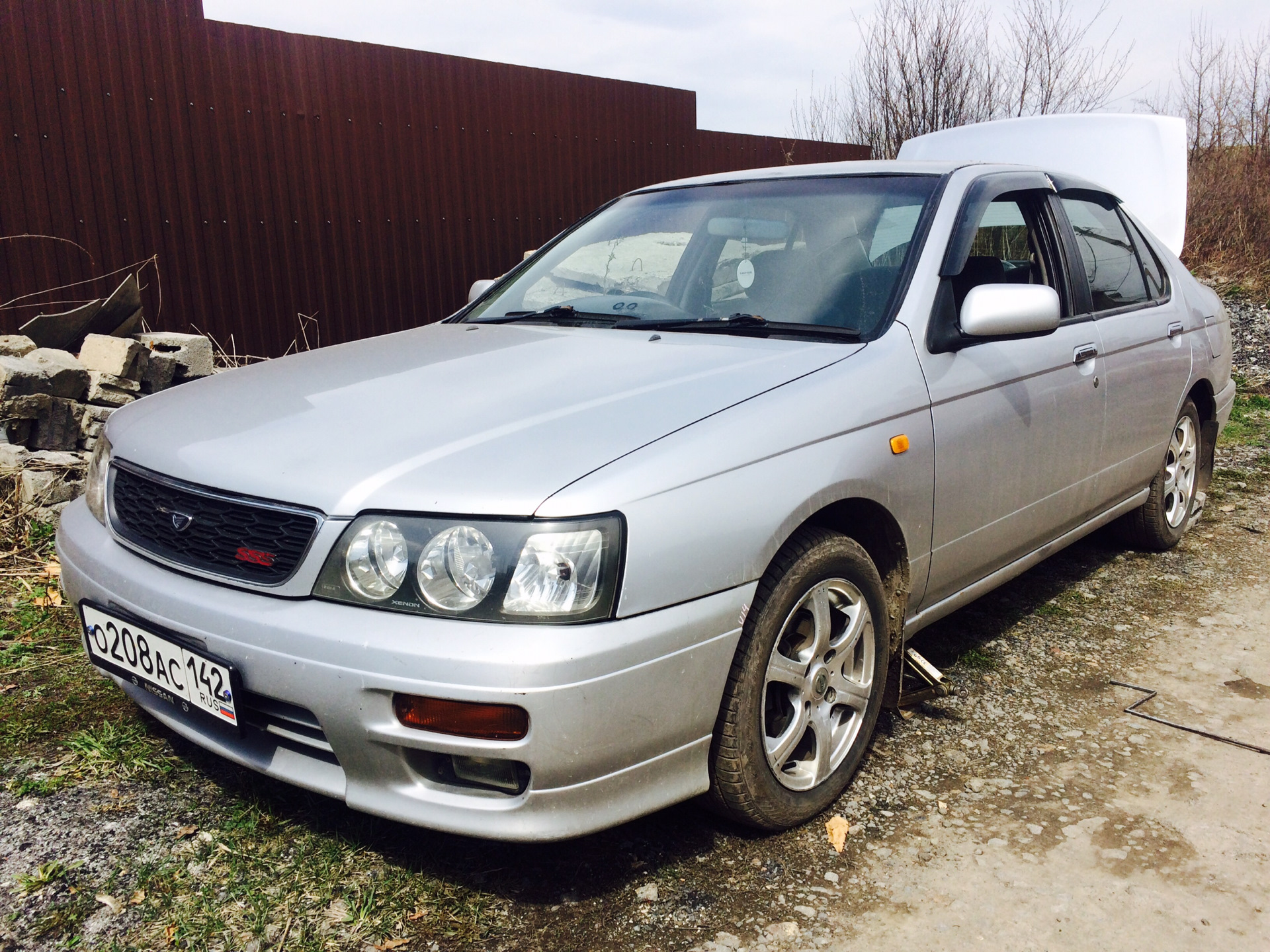 Nissan bluebird фото