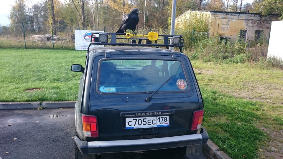 Чёрный ворон, я не твой! — Lada 4x4 3D, 1,7 л, 2015 года | наблюдение ...