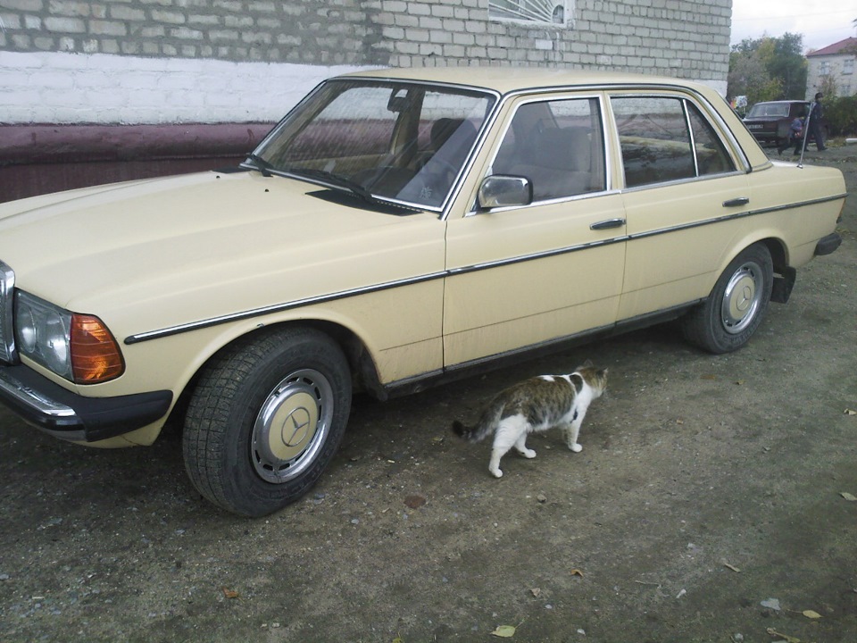 Mercedes 230