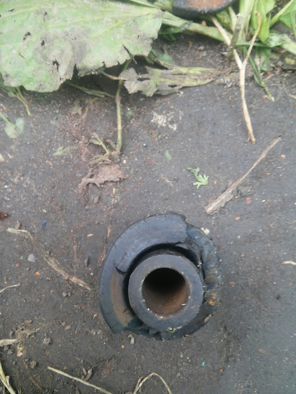 Втулки и ромашки рычагов — Lada Калина седан, 1,6 л, 2006 года ...