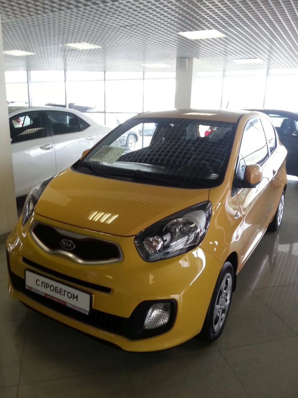 Honey Bee начало — KIA Picanto (2G), 1,2 л, 2011 года | встреча | DRIVE2