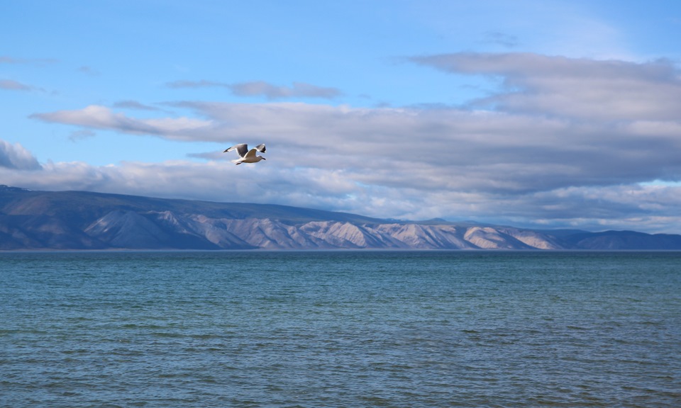 Вид из нашего окна. — KIA Bongo (4G)