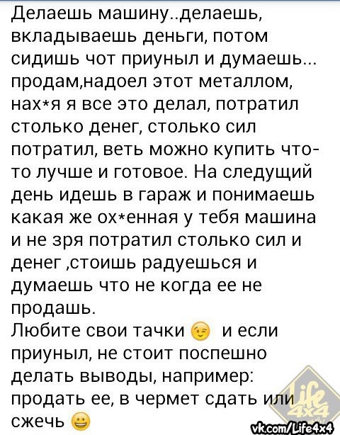 пошла возня. мышь юмор. пошла возня. день арбуза котик. стих про мышиную возню.