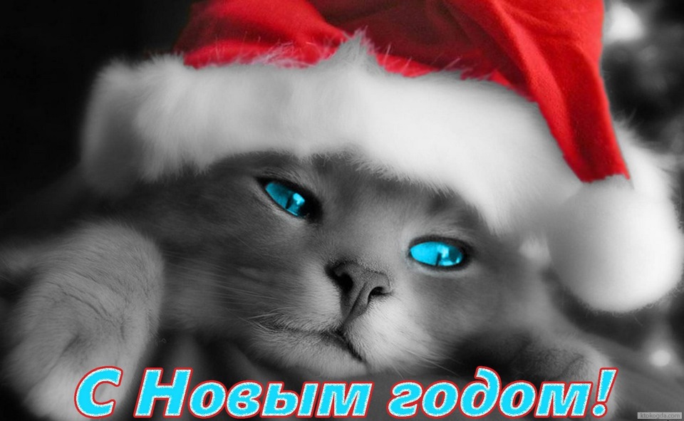 Шоколадка, открытка на аватарку с новым годом