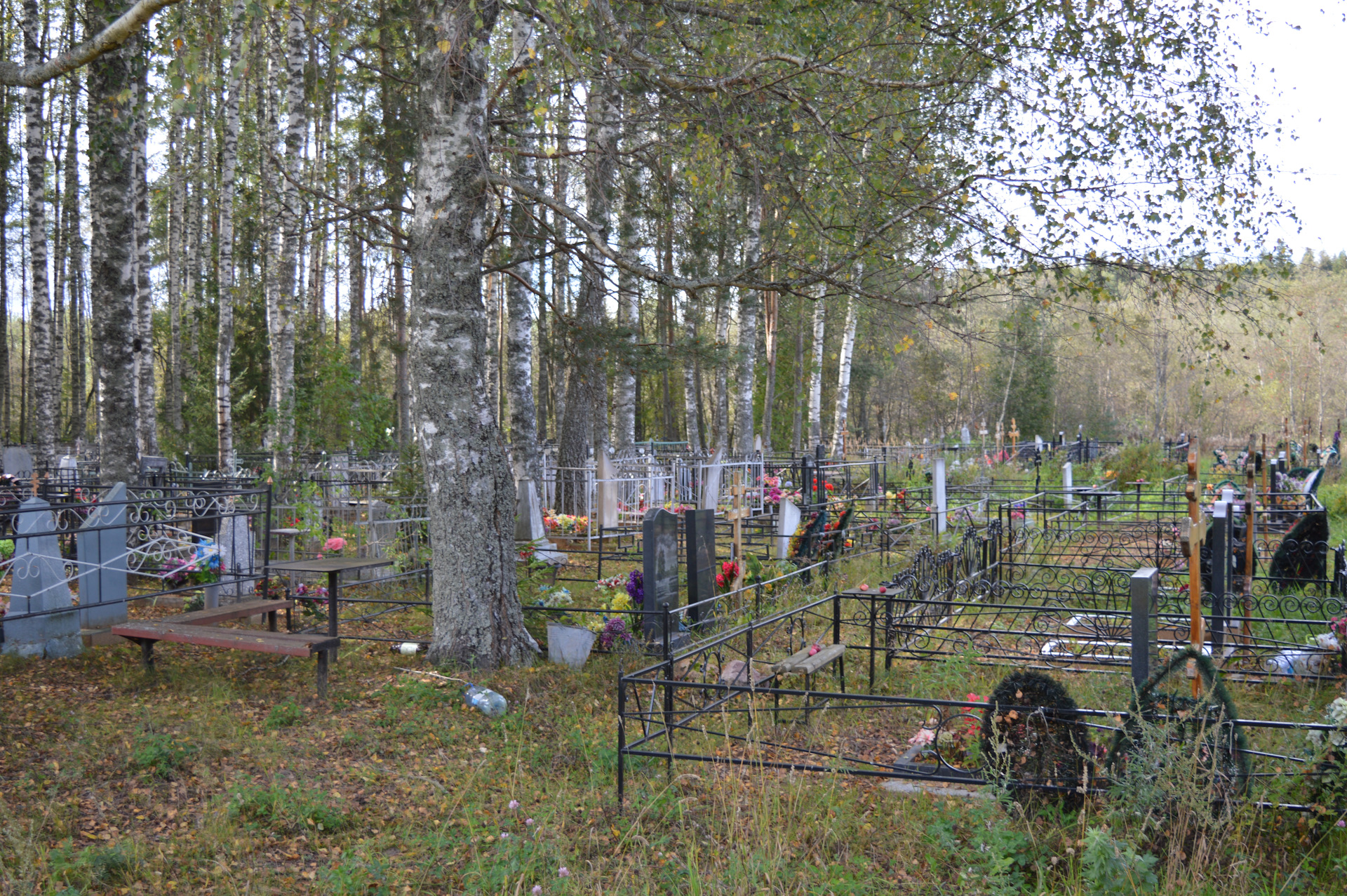 Торжокский район Спасс кладбище