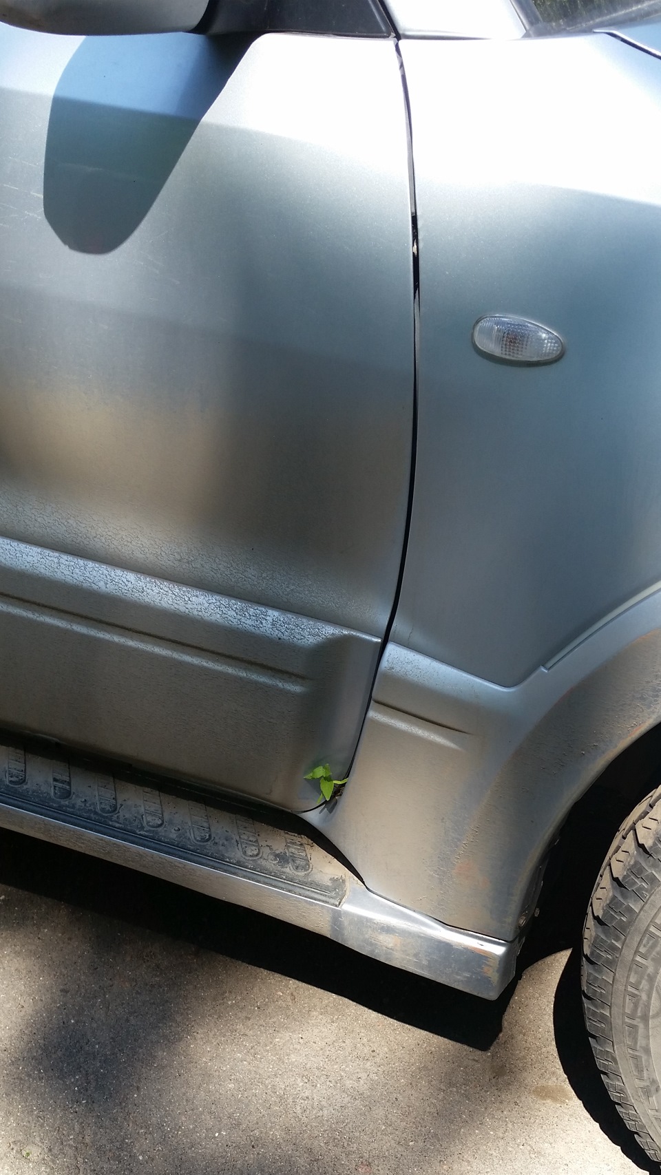 Проросло семячко — Сообщество «Club Japan 4x4» на DRIVE2