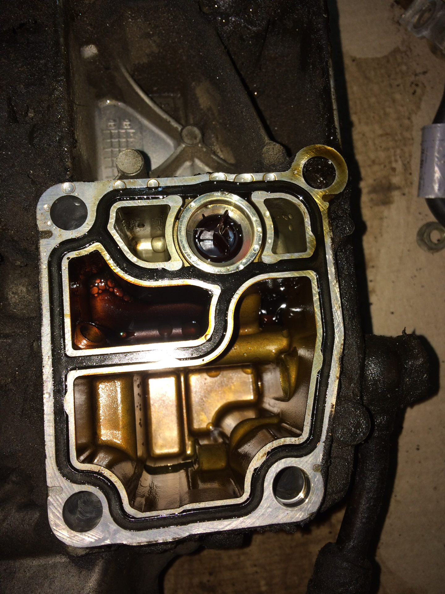 Стуки в моторе при заводе BMW M50/M5/M54 — BMW 3 series (E46), 2 л ...