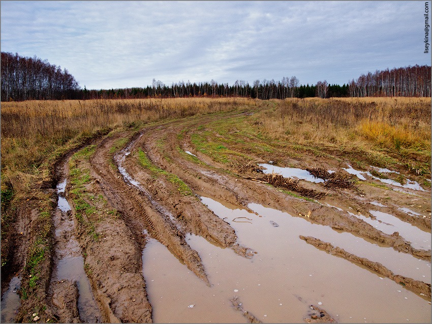 Лесная грязевая дорога фото