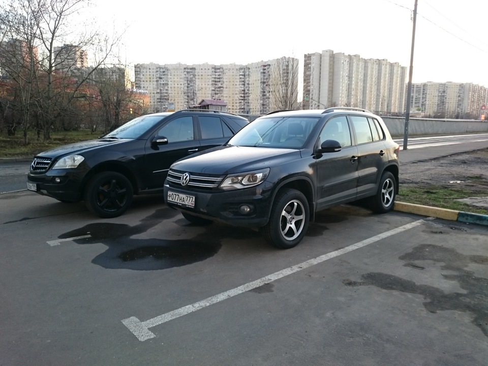 Мишка и сербские тигры))) — Volkswagen Tiguan (1G), 2 л, 2015 года ...