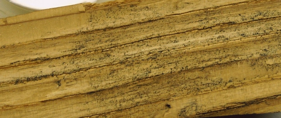 Застучал — Volkswagen Polo Mk2, 1,3 л, 1988 года | поломка | DRIVE2