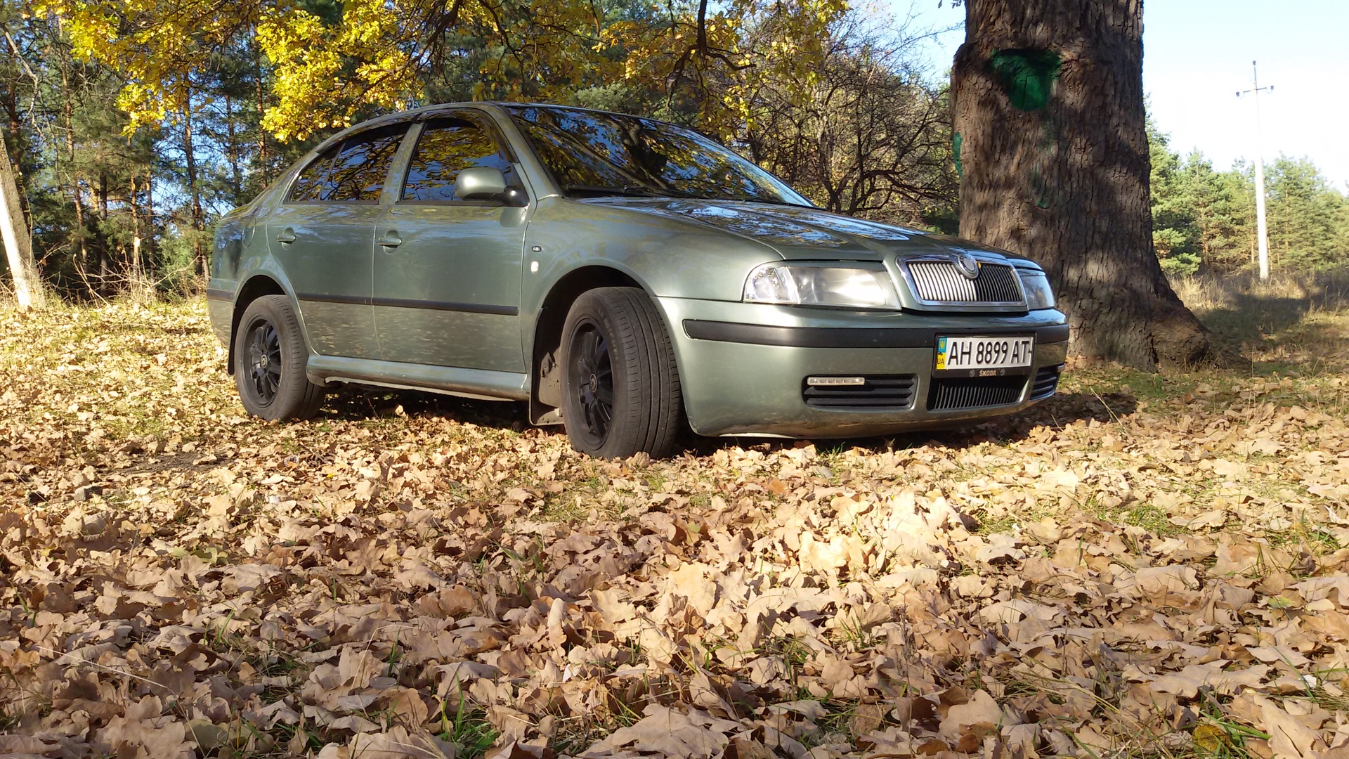 Skoda Octavia A4 Mk1 2.0 бензиновый 2001 | 2.0 