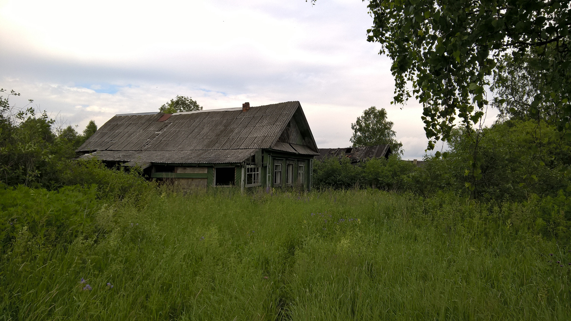 В деревню в глушь