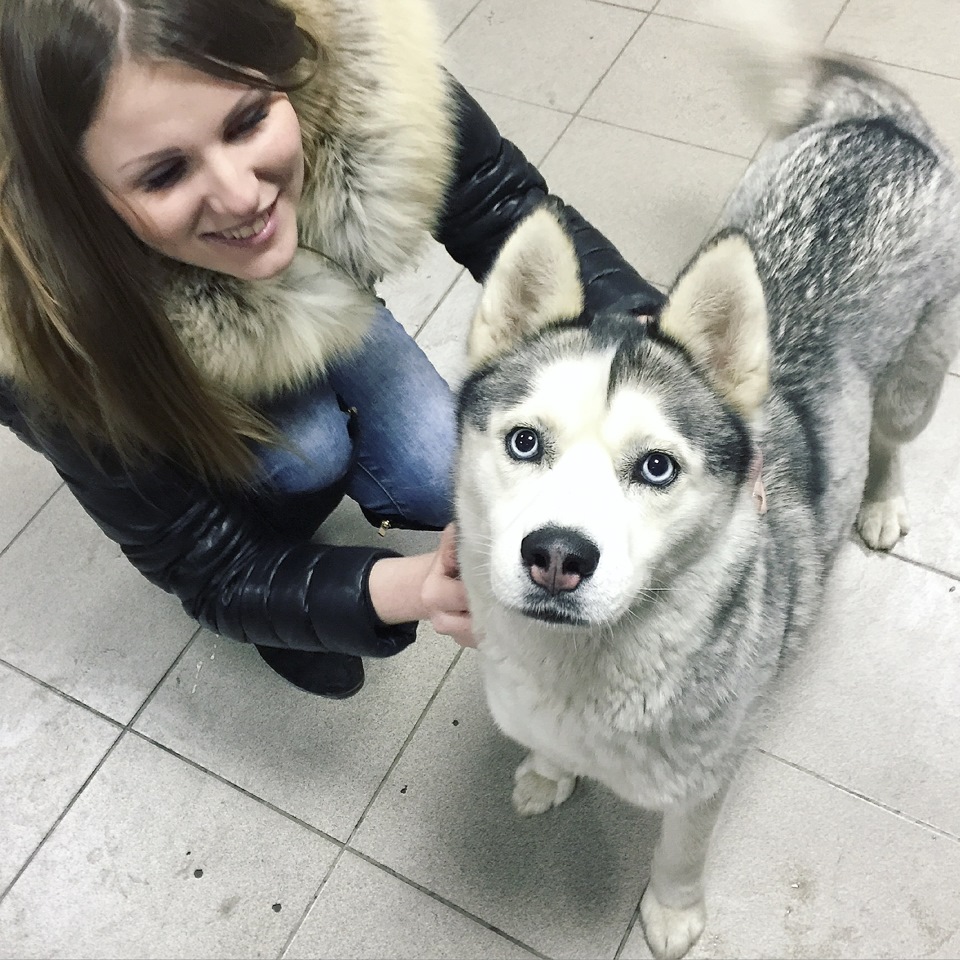 Замена свечей, масла, тормоз.жидкости + инициализация робота. — Toyota ...