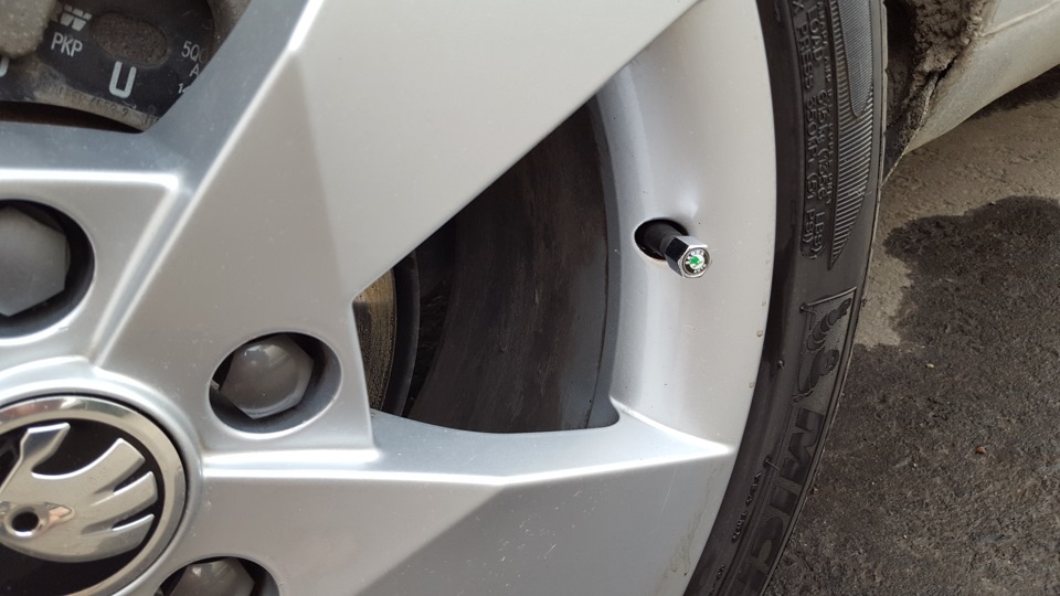 Колпачки на соски)) как бы это не звучало)) — Skoda Octavia A7 Mk3, 1,4 ...