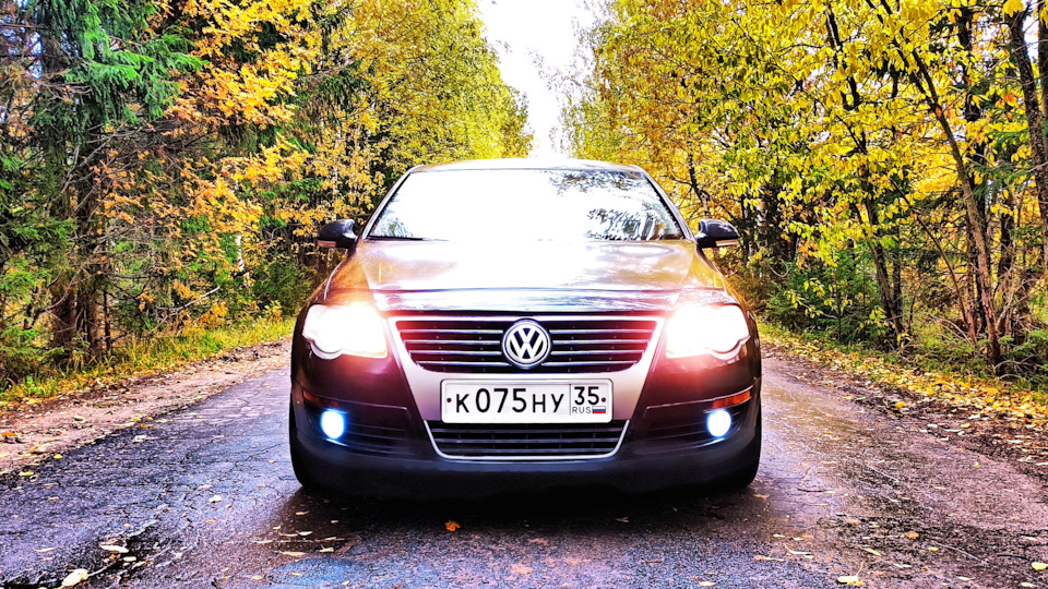 Масленка Красная — Volkswagen Passat B6, 2 л, 2007 года | поломка | DRIVE2