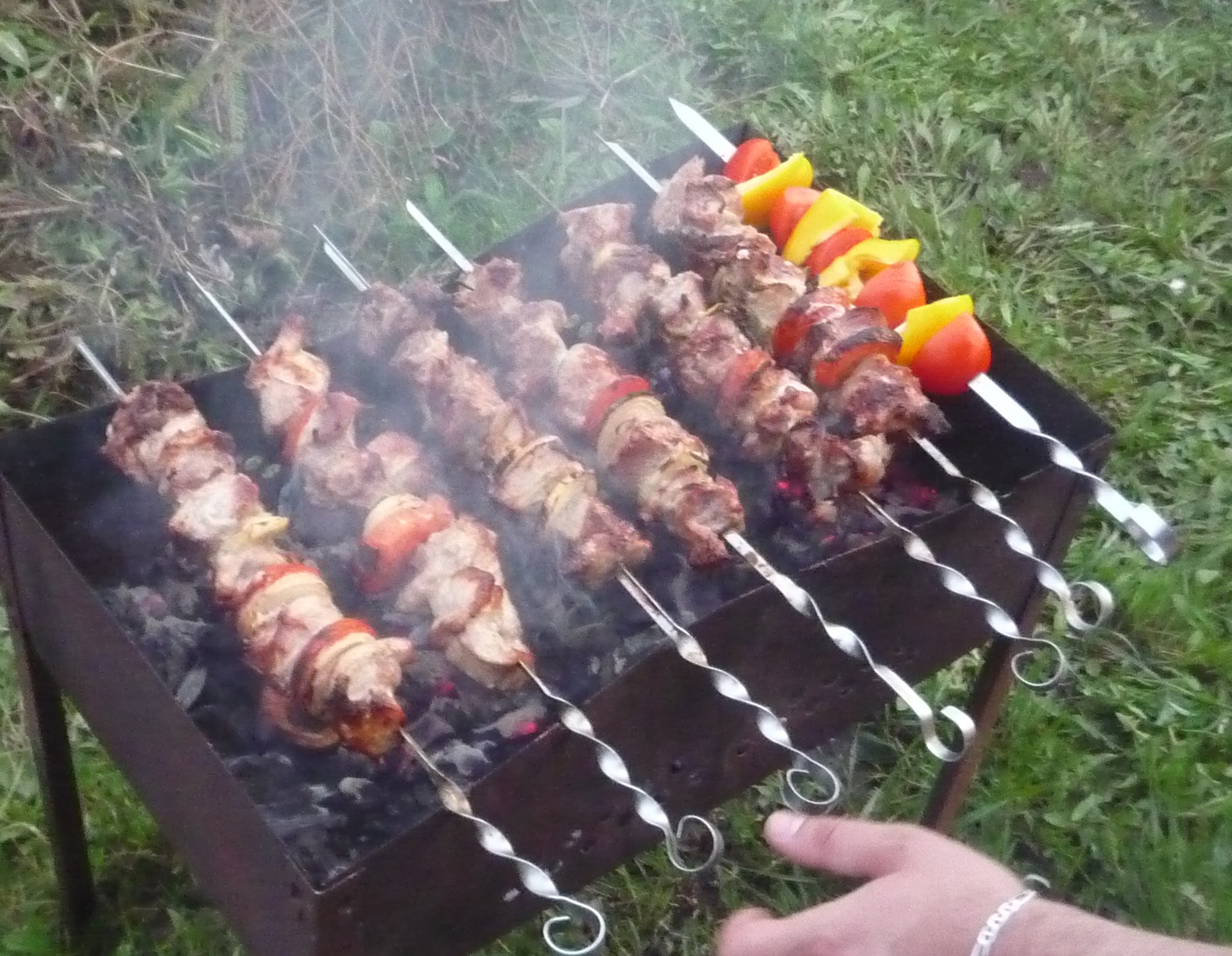 Прикольные картинки про шашлык на природе