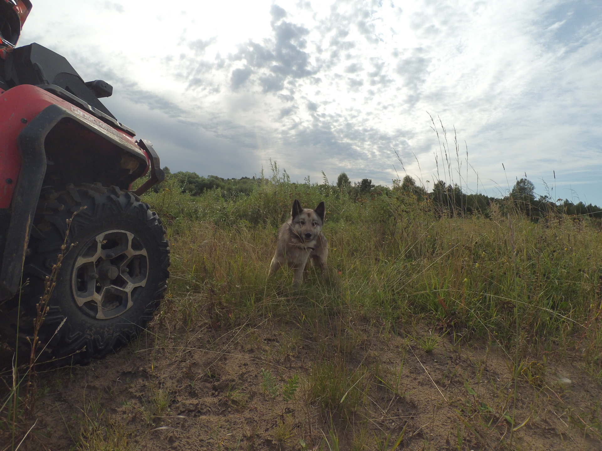 Деревня сухоборка воскресенского района нижегородской области. Деревня сухоборка слободской район кировская область. Школа сухоборка слободской район. Сухоборка фото. Сухоборка картинки.