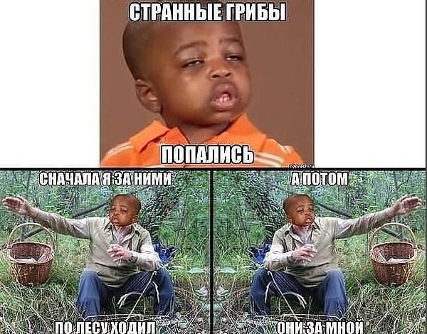 Белый гриб мем про черных