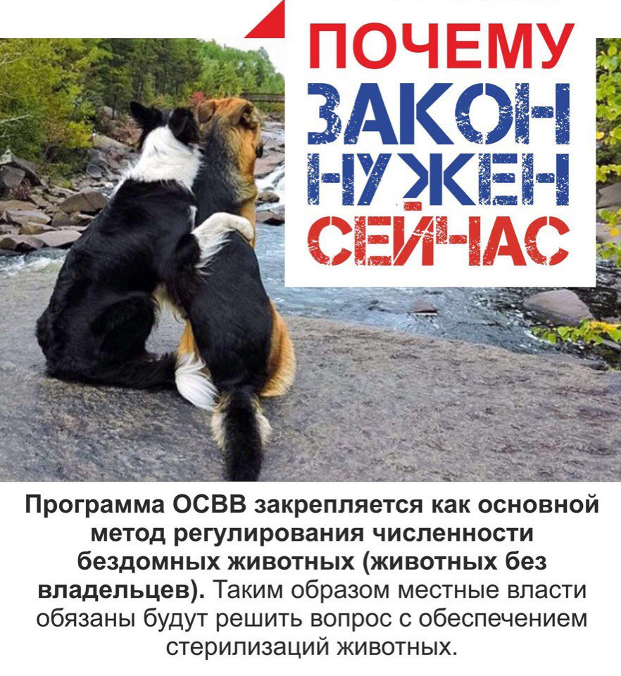 закон животных 2018