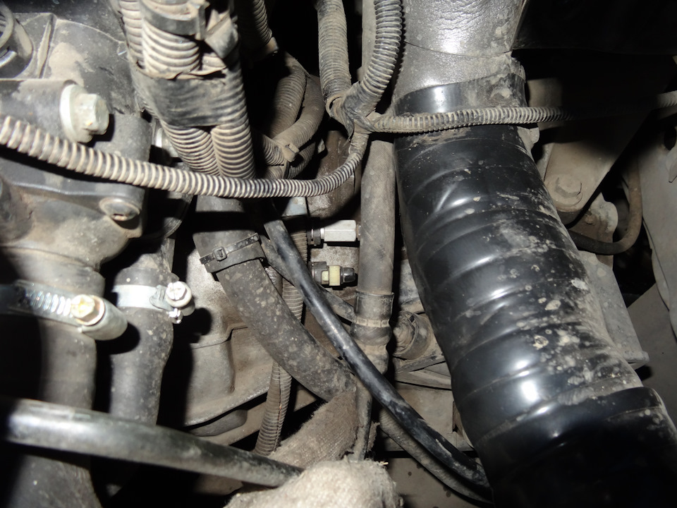 Фото в бортжурнале Ford Focus I Sedan