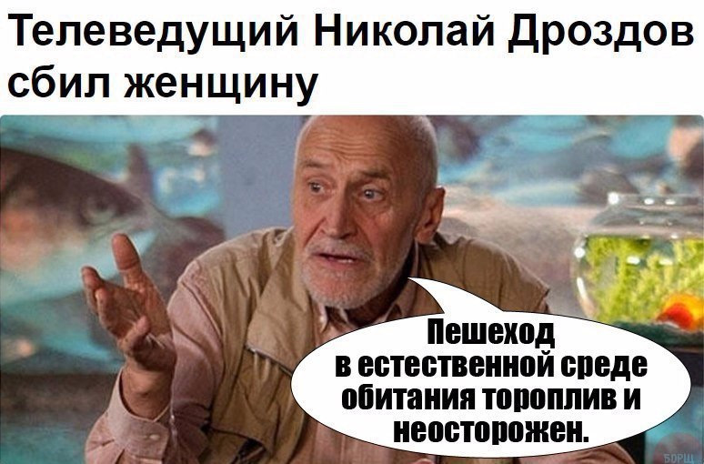 Давайте понаблюдаем дроздов мем