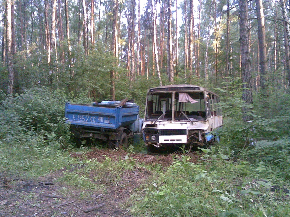 Лес газ. ЗИЛ 130 В лесу. ЗИЛ 131 салон заброшенный. ПАЗ-32053 И ЗИЛ 130. ПАЗ ЗИЛ.