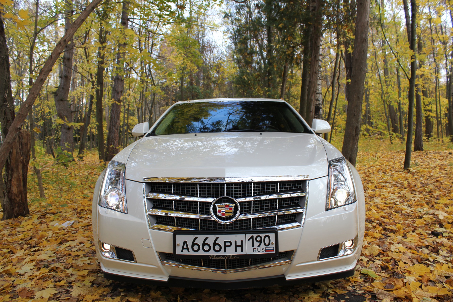 Фото в бортжурнале Cadillac CTS (2G)
