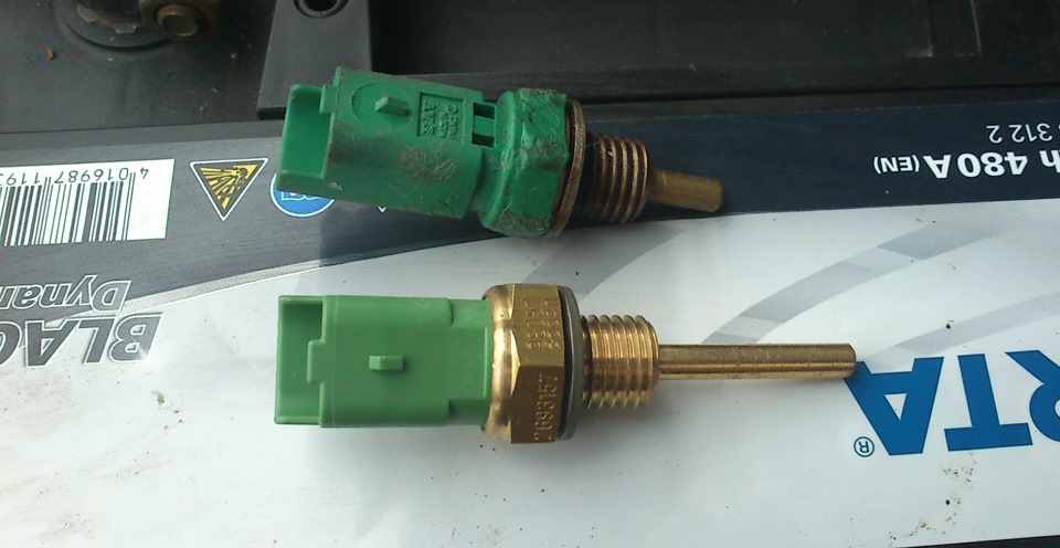 d69d506s-960.jpg