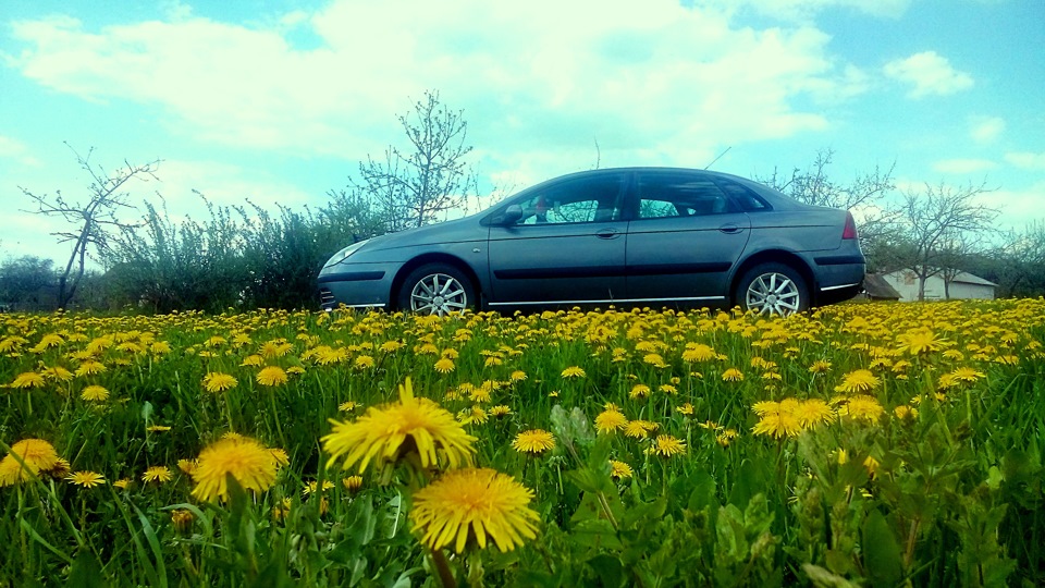 Citroen C5 шэрая мышка=-)