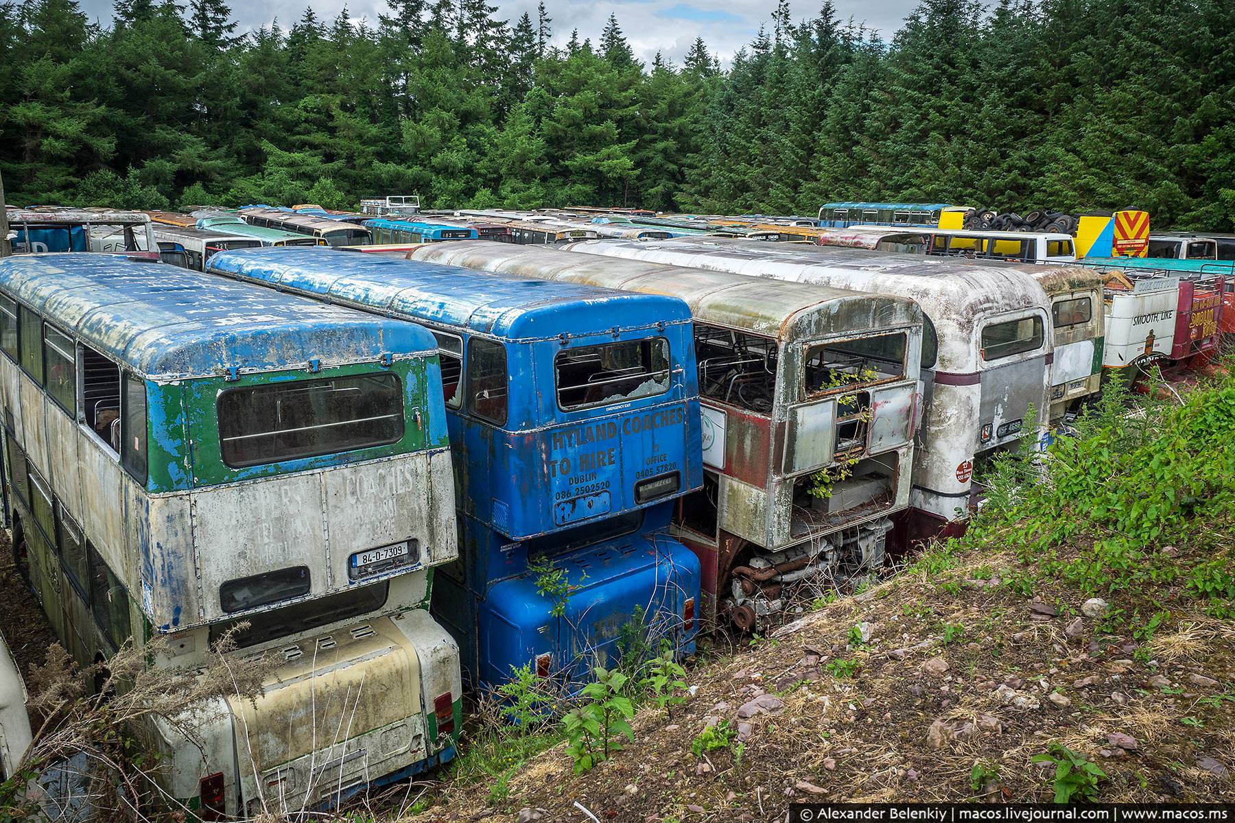 Фото заброшенных автобусов