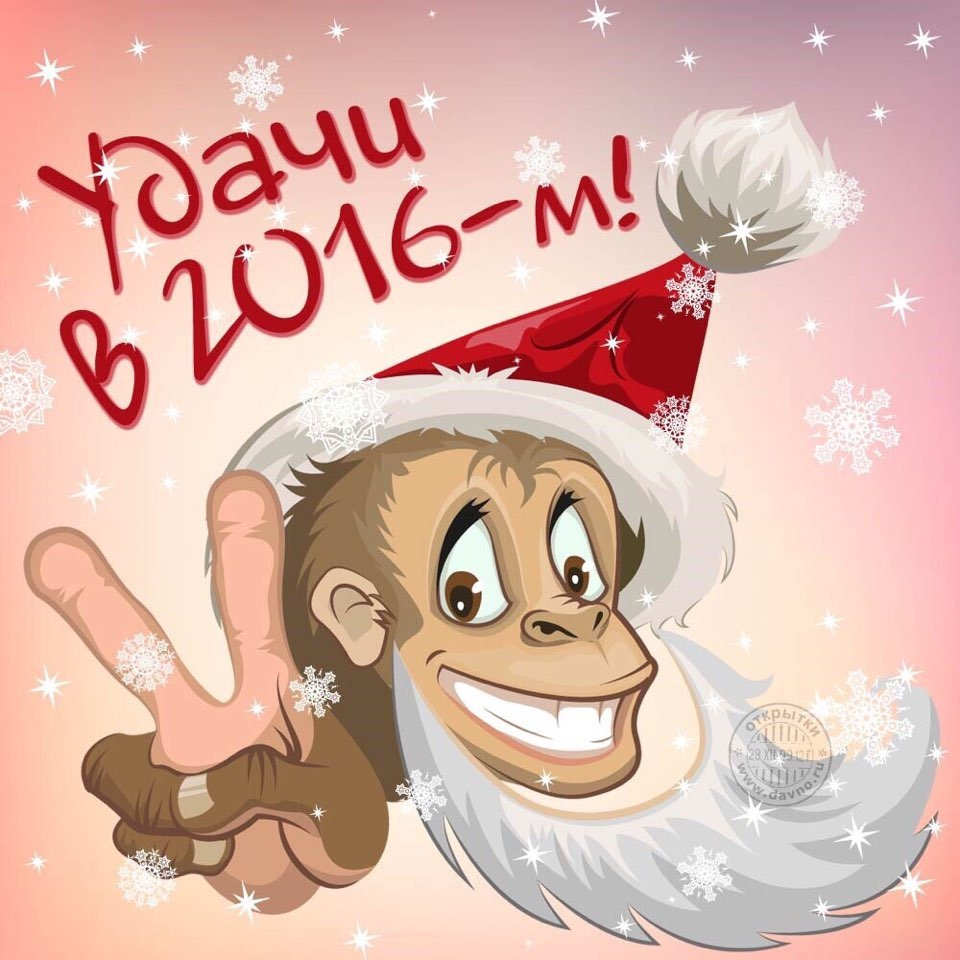 Открытка вечером, картинки прикол с новым годом 2016