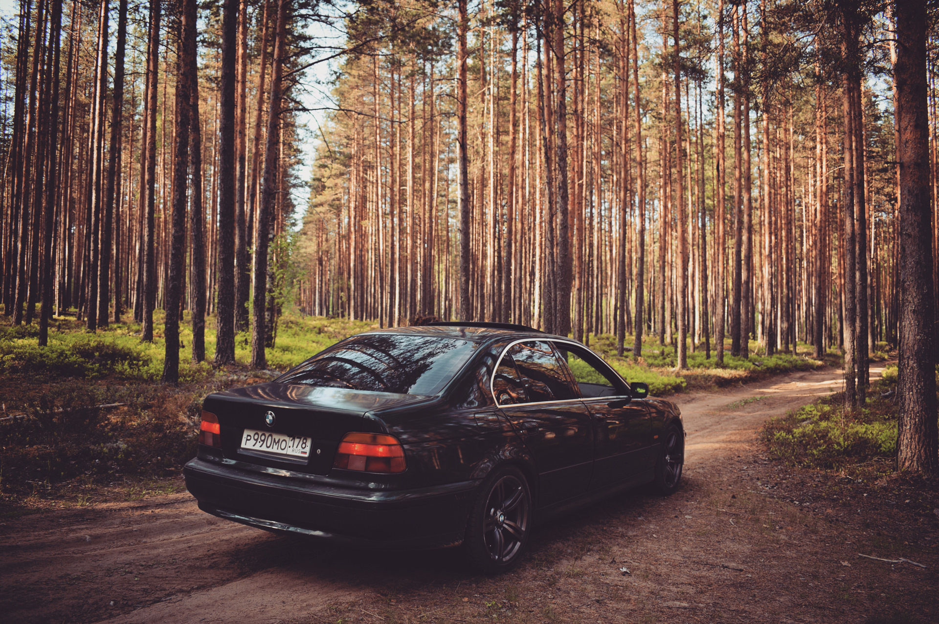 Автомобиль БМВ В лесу