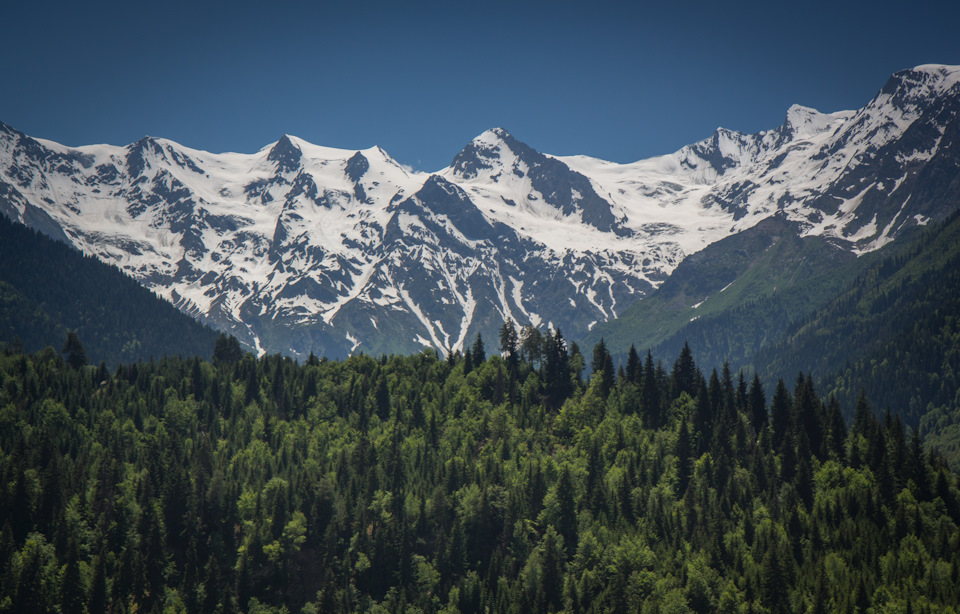 Photo from the logbook Citroen Berlingo (1G)