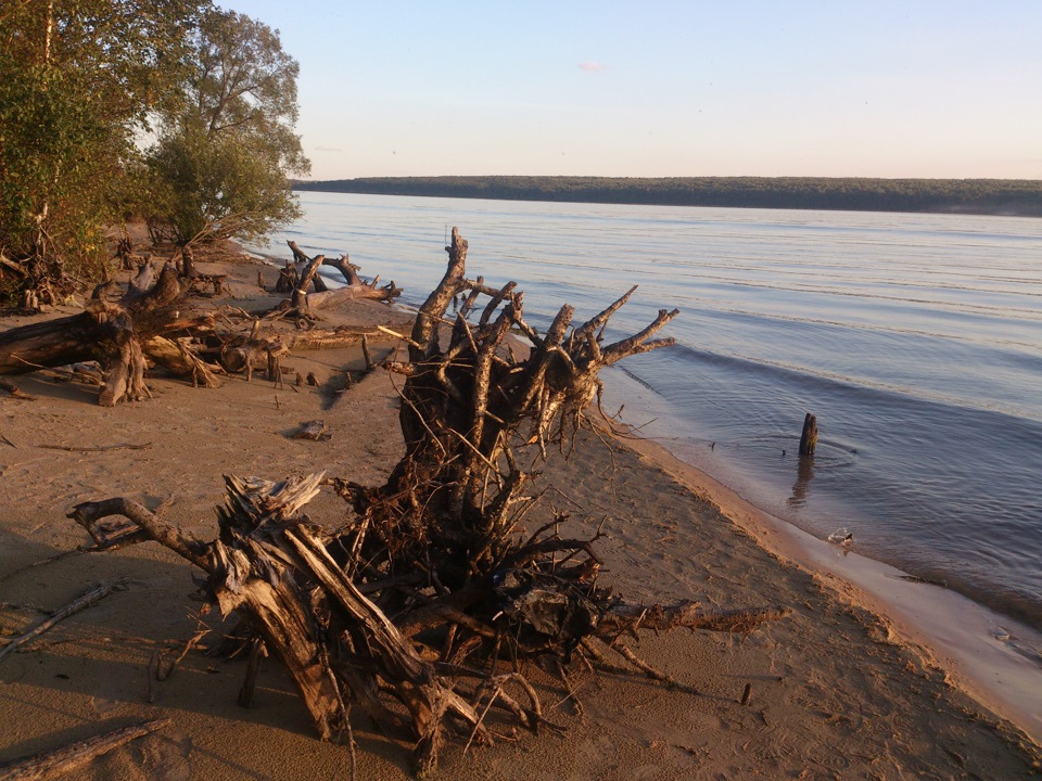 Сурское водохранилище пляж