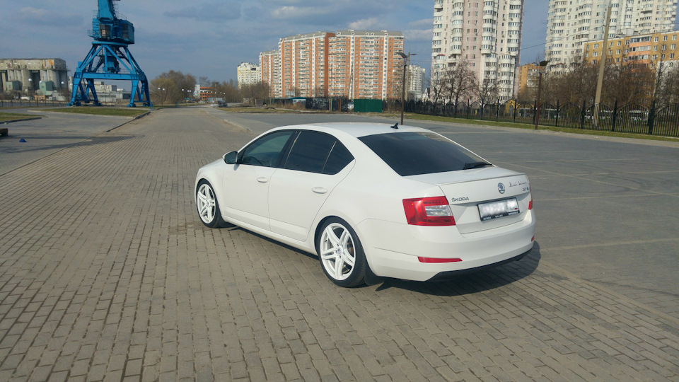 Фото в бортжурнале Skoda Octavia A7 Mk3