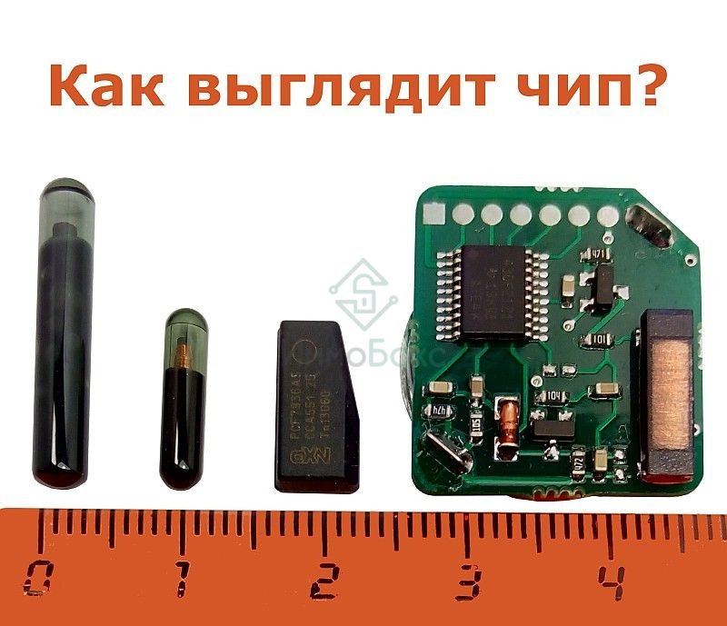 Азе чип. Азе чип. Чип и дейл логотип. Азе чип. Зажигание аварийное ваз 2108-09, 2110, 1111 аз-чип.