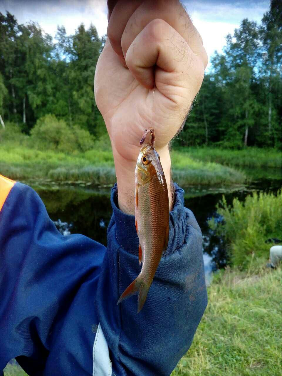 Был тут в отпуске. Чем замазать бампер? — Volkswagen Polo Sedan, 1,6 л ...