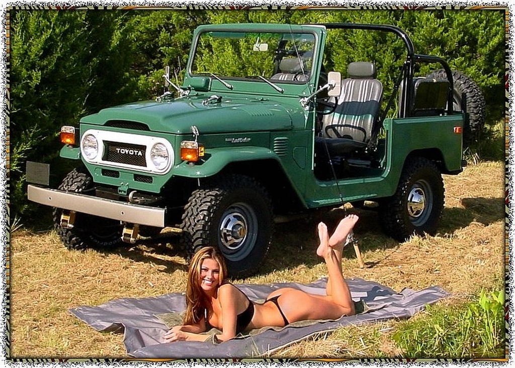 Фото в бортжурнале Toyota Land Cruiser 40