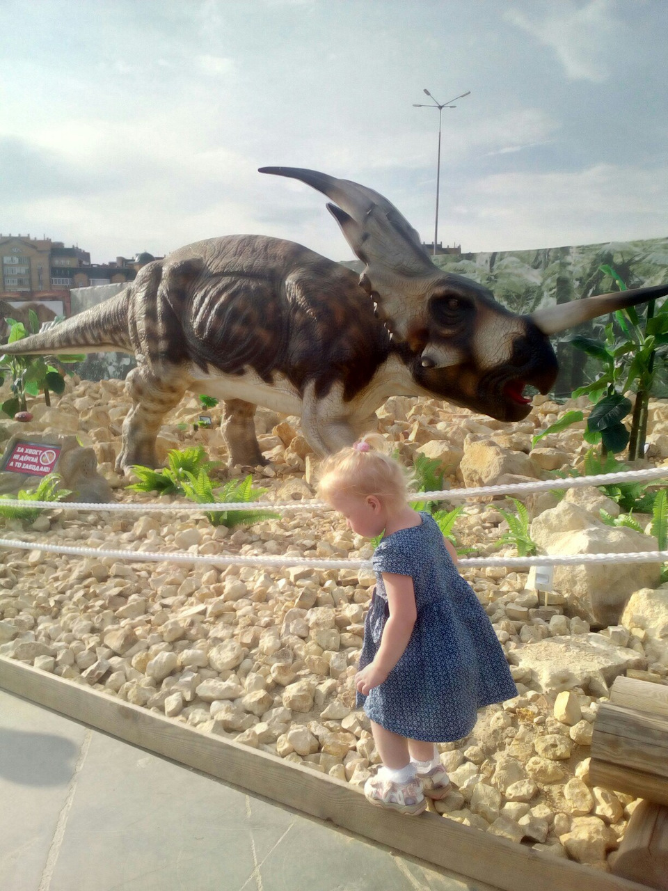 Фото в бортжурнале Renault Symbol