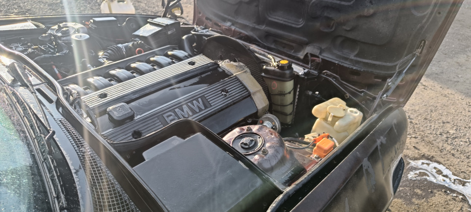 Фото в бортжурнале BMW 5 series (E34)
