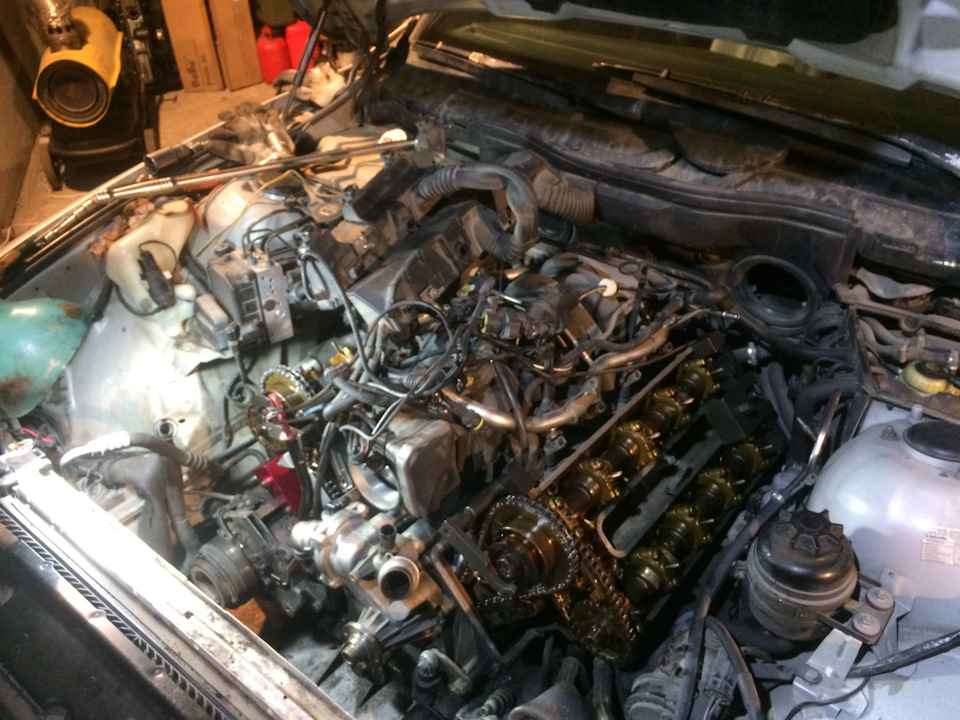d7b7cd1s-960.jpg