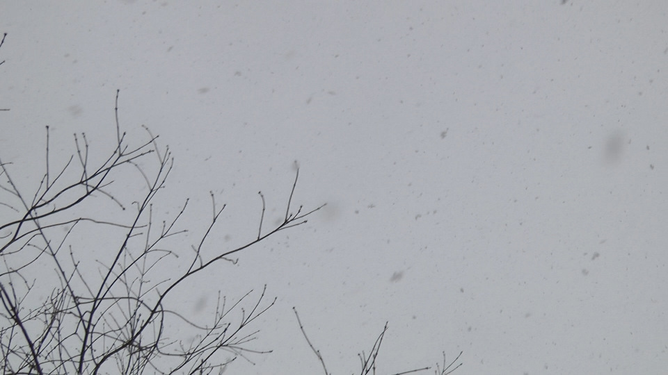 Фото в бортжурнале Mitsubishi Pajero Sport (2G)