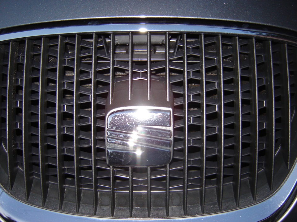 Сетка в решетку радиатора — SEAT Leon (Mk II), 1,8 л, 2012 года ...