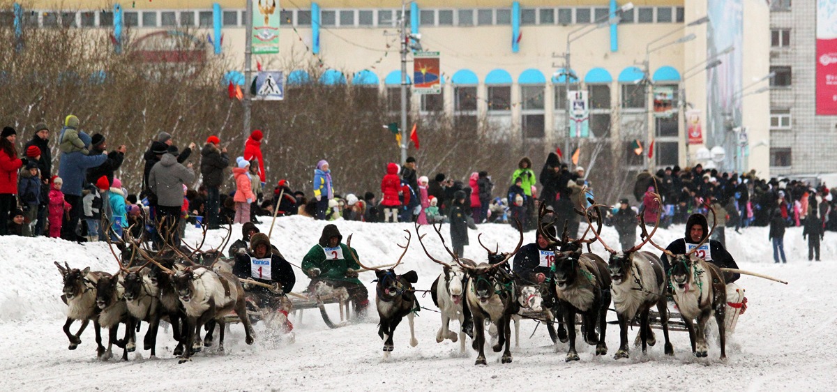 День воркуты. Праздник оленевода в Воркуте. Воркута день оленевода 2019. Ненцы Воркута. Оленьи бега Воркута.